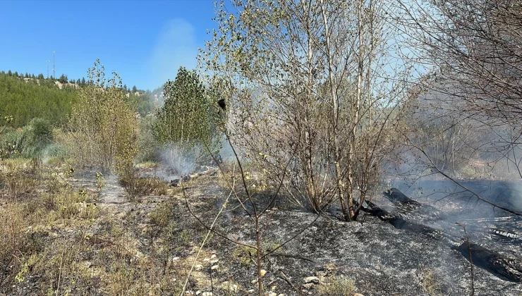 Burdur’da Ormanlık Alanda Çıkan Ot Yangını Söndürüldü